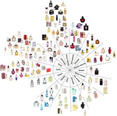 Fragrance Wheel, Fragrance Tips, Homemade Perfume, Fragrance Lab, Perfume Recipes, Popular Perfumes, Diy Perfume, Fragrances Perfume Woman, Perfume Collection Fragrance