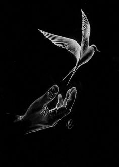 a black and white drawing of a hand holding a bird in the dark with its wings outstretched