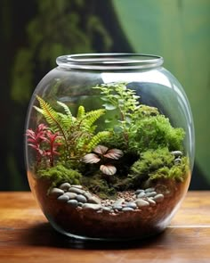 a fish bowl filled with plants and rocks