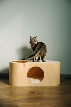 a cat sitting on top of a wooden structure