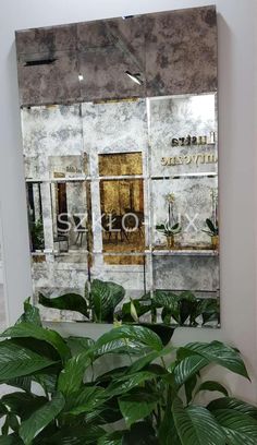 a large mirror reflecting the inside of a building with plants in front of it and an advertisement on the wall