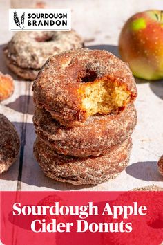 Stack of sourdough apple cider donuts coated in cinnamon sugar with the top one with a bite taken out of it. Apple Cider Donuts Recipe Sourdough, Sourdough Apple Cider Muffins, Sourdough Apple Cider Donut Recipe, Apple Cinnamon Sourdough, Sourdough Starter Recipe Ideas, Sourdough Apple Recipes, Apple Cider Donut Holes Recipe, Sourdough Donuts Recipe, Sourdough Donut Recipe