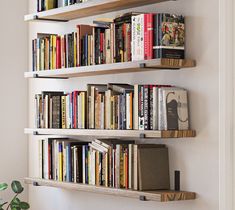 two wooden shelves filled with books next to a wall mounted plant in a living room