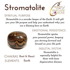 Stromatolite Crystal Meaning, Leo Birthstone, Healing Rocks, Gemstones Chart, Crystal Seashells