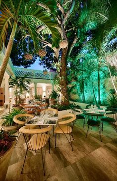 an outdoor dining area with tables and chairs under a palm tree at night, surrounded by greenery