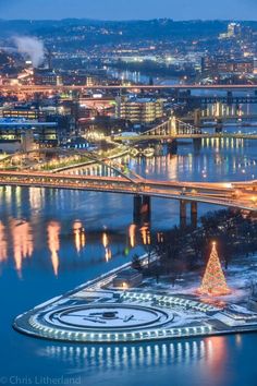 a christmas tree is lit up in front of a bridge and the city lights at night