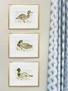 three framed ducks are hanging on the wall