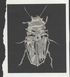 a black and white photo of a bug on a piece of paper that has been cut out