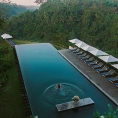 an outdoor swimming pool with lounge chairs and umbrellas on the side, surrounded by lush green trees