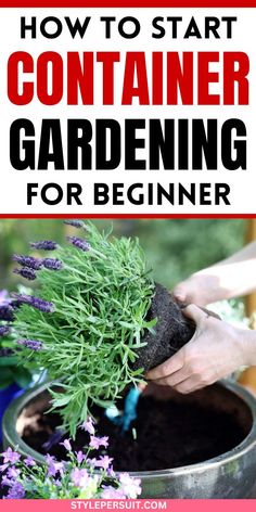 someone is gardening in a pot with the title how to start container gardening for beginners