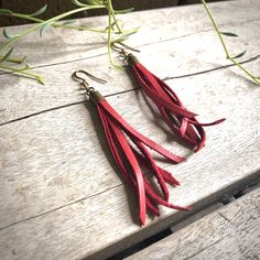 two pairs of red leather tassels on wooden plank with green plant in background