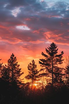 the sun is setting behind some trees in the distance, and it appears to be very colorful