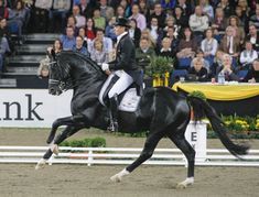 a woman riding on the back of a black horse in front of an audience at a competition