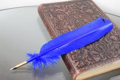 a blue feather quill sitting on top of an old book next to a pen