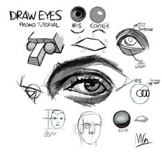 an eye with different types of eyes and how to draw it in the style of anime