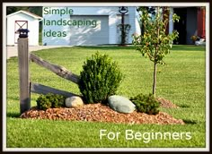 a wooden fence in the middle of a yard with rocks and grass around it, next to a small tree