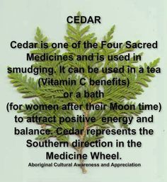 a poem written in english describing the benefits of cedar