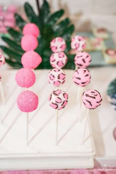 pink and black cake pops sitting on top of a white tray next to a plant