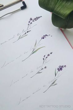 some flowers are sitting on top of a piece of paper next to a pen and scissors