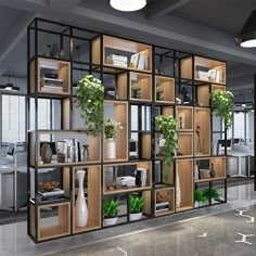 an office with several wooden shelves and plants in vases on each shelf, along with other items