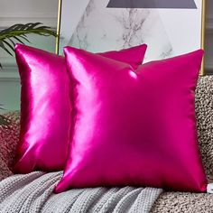 two pink pillows sitting on top of a couch next to a framed photograph and plant