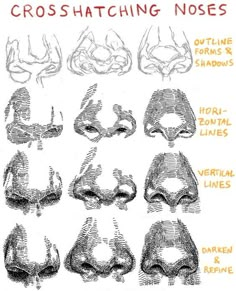 an image of cross hatching noses in various positions and sizes, including the nose