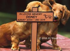 two dogs standing next to each other in front of a wooden sign that says in loving memory dewey