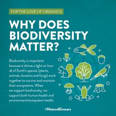 a poster with the words why does biodiversity matter? and an image of plants