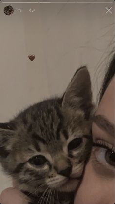 a woman holding a kitten up to her face with the caption, i love my cat