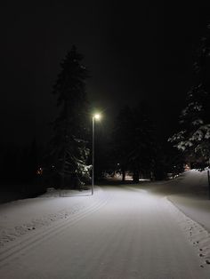 a street light in the middle of a snow covered road with trees on both sides