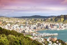 an aerial view of a city and harbor