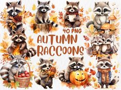 watercolor autumn raccoons with pumpkins and leaves