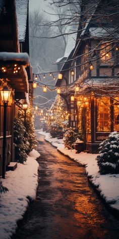 a snowy street with lights strung from the buildings and trees on both sides, along with snow covered sidewalks