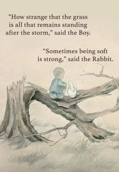 a drawing of a boy sitting on top of a tree branch next to a quote from the book sometimes being soft is strong and the rabbit