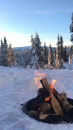 a campfire in the snow surrounded by trees