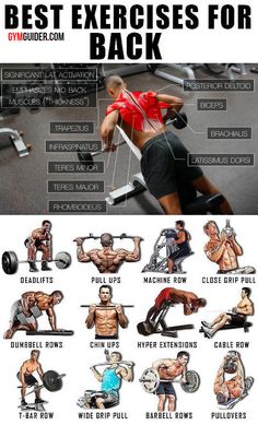 the best exercises for back muscles and how to do them with dumbbells or barbells