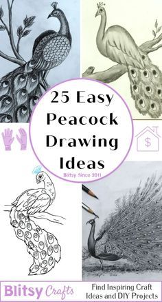 the cover of 25 easy peacock drawing ideas, with pictures of different types of birds