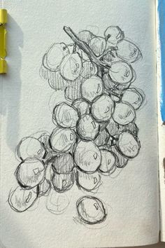 a drawing of some grapes on a piece of paper