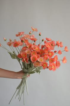 a person holding a bouquet of flowers in their hand