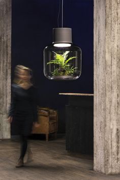 a woman walking past a plant in a glass container hanging from a ceiling light fixture