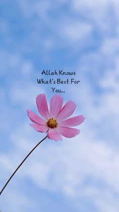 a pink flower with the words,'allah knows what's best for you '