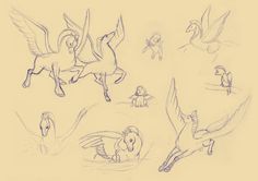 some drawings of different animals and birds