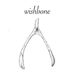 a black and white drawing of a pair of scissors with the words wishbone on it