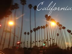 the reflection of palm trees and traffic lights in a car window at night with the word california written on it