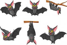 a set of bats with different expressions