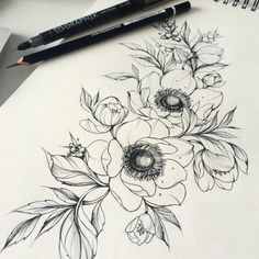 a pencil drawing of flowers and leaves on paper