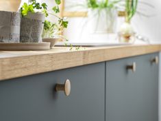 a kitchen counter with plants on it and a sink in the backround area