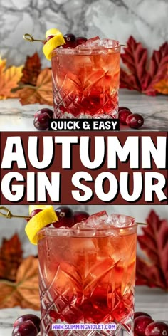 two glasses filled with autumn gin sours and garnished with cherries on the side