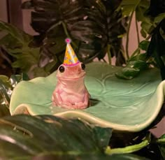 a frog with a party hat sitting on top of a green leafy surface in front of a houseplant