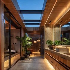 an indoor bathroom with skylights and plants on the countertop in front of it